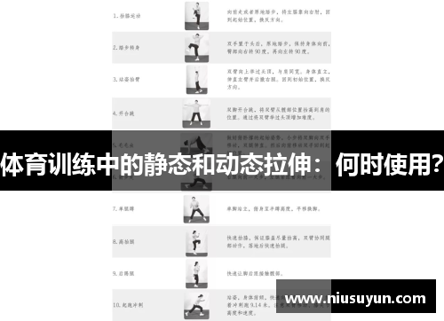 体育训练中的静态和动态拉伸：何时使用？
