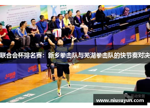 联合会杯排名赛：新乡拳击队与芜湖拳击队的快节奏对决